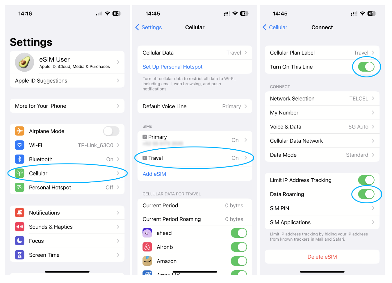iPhone Settings showing how to enable roaming data for eSIM