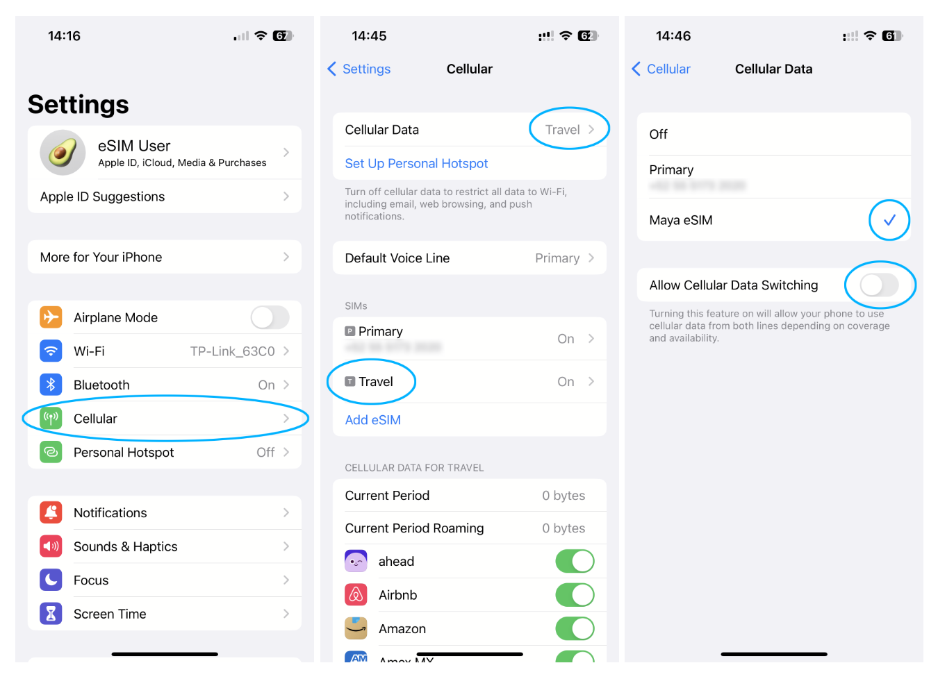 iPhone Settings showing how to select eSIM for cellular data