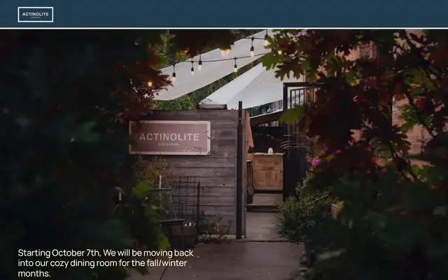 Actinolite website