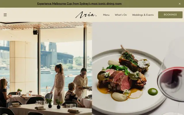 Aria website