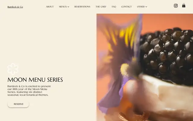 Burdock & Co website