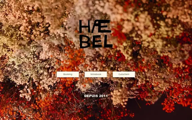 HAEBEL website