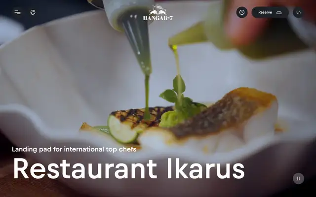 Ikarus website