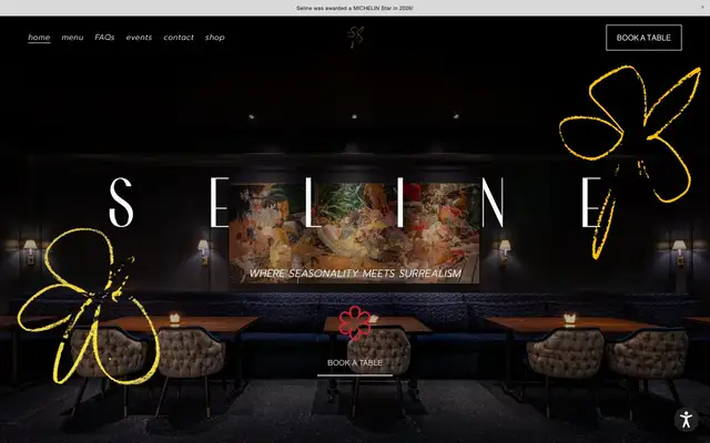 Seline website