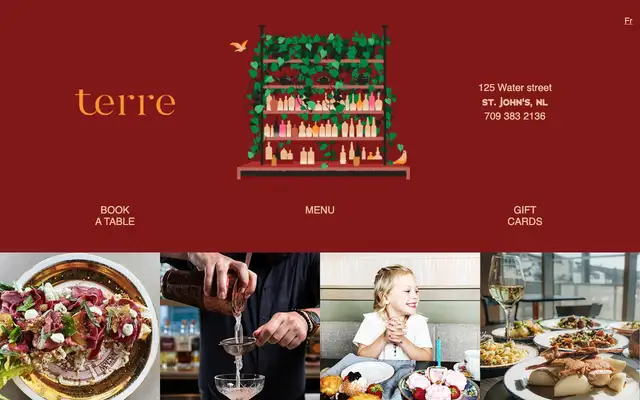 Terre website